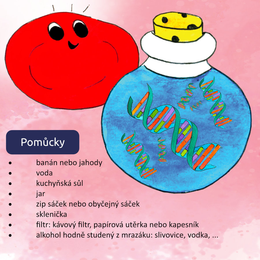 Pomůcky pro pokus s DNA